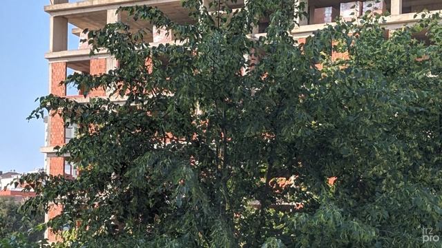 Google Kamera Kurulum Rehberi