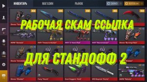 РАБОЧАЯ СКАМ ССЫЛКА ДЛЯ СТАНДОФФ 2
