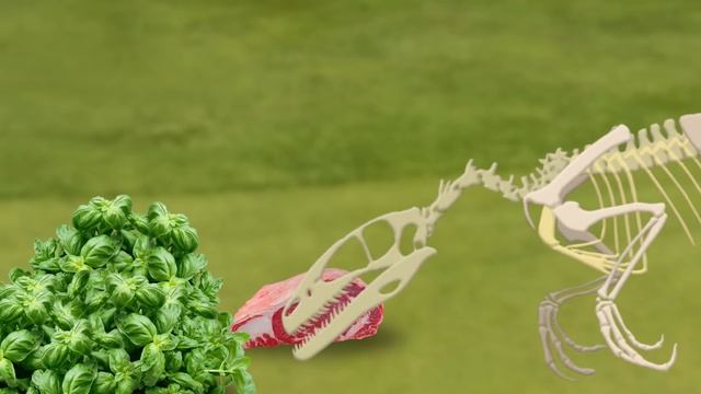 Dinosaur fossil excavation |What shape are dinosaur bones? |What did the dinosaurs eat?|공룡의 뼈를 찾아라 смотреть онлайн