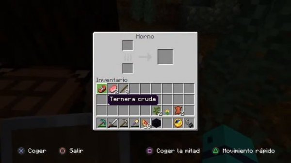 Minecraft Arcania #14