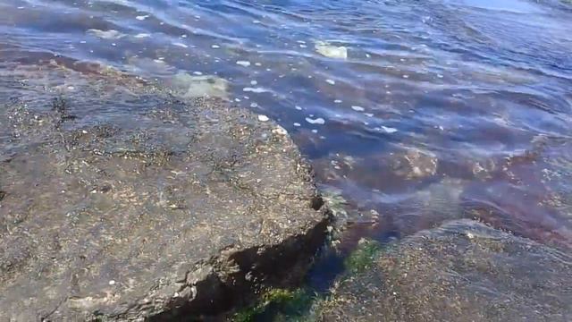 Лето. Море. Шум волны смотреть онлайн