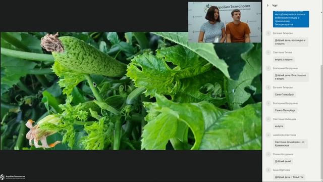 Спроси у агронома смотреть онлайн