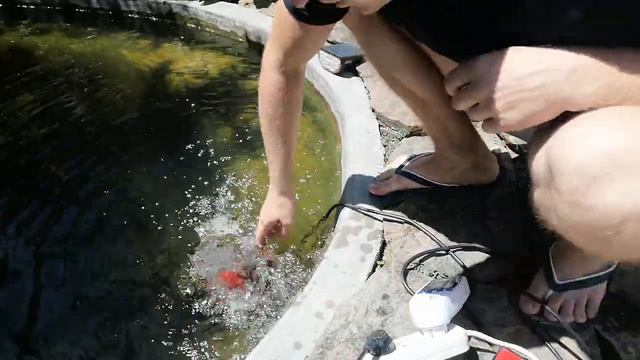 Насос для пруда 15.07.2023 смотреть онлайн