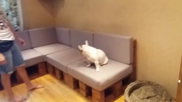 Уголок на кухню с тканью от МАСТЕРСКОЙ KINGPALLET смотреть онлайн