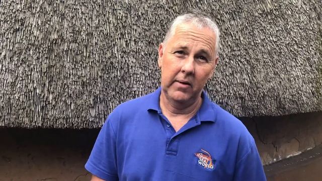 One-eyed python finds new home смотреть онлайн