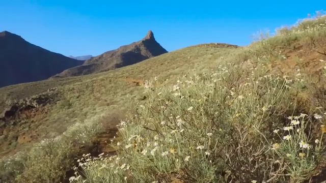 Лена и Ваня// Задние волосы дыбом! // Обзор видео// смотреть онлайн