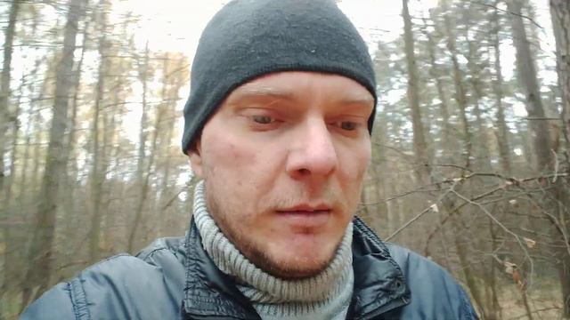 Уайлдер-Хелениус прогноз на бой. смотреть онлайн