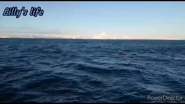 Авичнская бухта. Открытое море смотреть онлайн