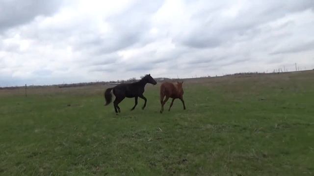 Простые движенья смотреть онлайн