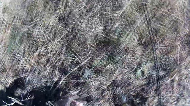 Трудовая рыбалка на р. Иловля (Окунь, Щука) смотреть онлайн