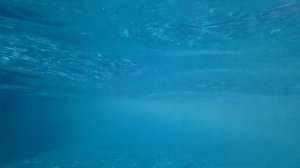 АКВАЛОО бассейны,территория.