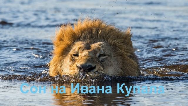 Сон на Ивана Купала смотреть онлайн