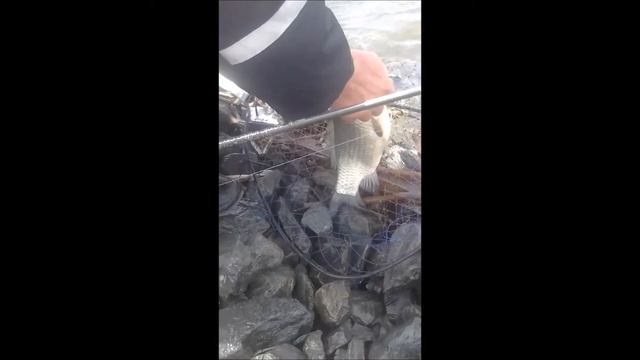 рыбалка на карася смотреть онлайн