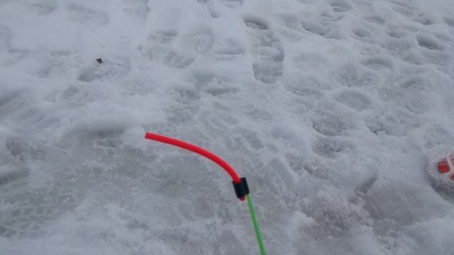 Ловля осетра на платнике ? Конец18 начало 19 года смотреть онлайн