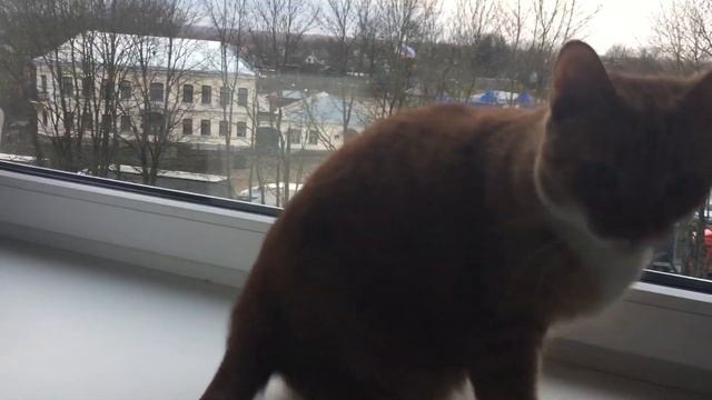 Зачем Габи нарушила режим? Отказ от дневного сна. Видео с куклой реборн. смотреть онлайн
