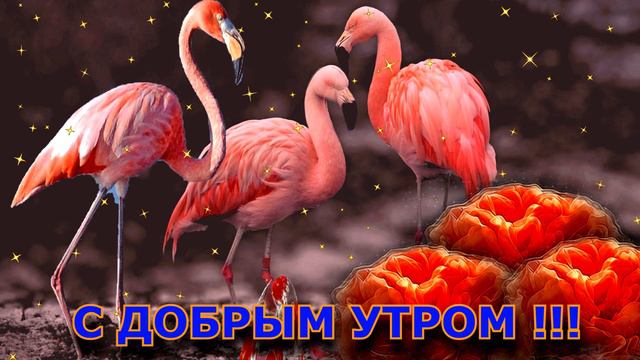 С ДОБРЫМ УТРОМ ! смотреть онлайн