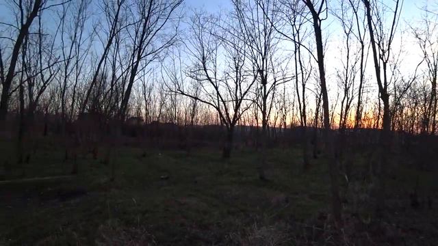 Серж Дур-Дачник. Вечер 17 февраля 2020 год. Пламя и Закат. Архив. смотреть онлайн