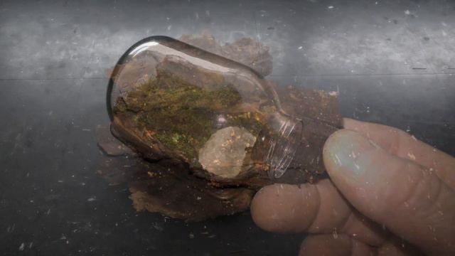 Tilted Jar Terrarium DIY смотреть онлайн