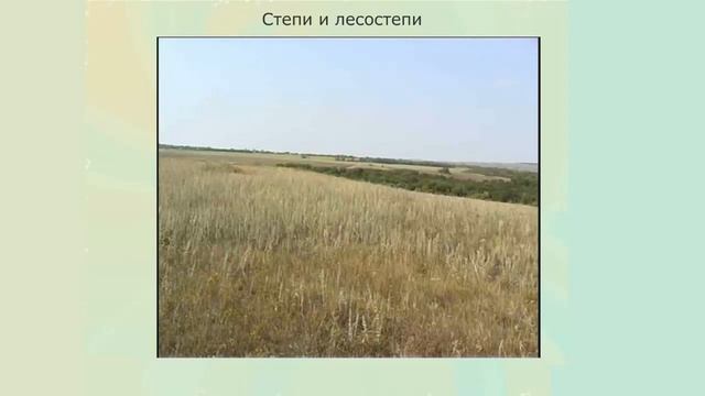 Природные зоны Земли с примерами животного и растительного мира