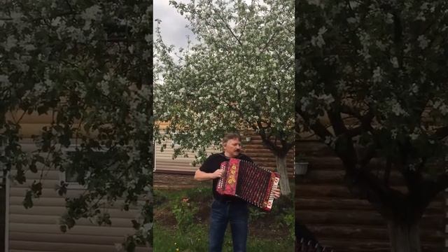 "Вордӥськем юртэ"-удмурт кырӟан.Быдэстэ авторэз Виктор Бочкарёв смотреть онлайн