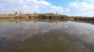 рыбалка на Кубани, ловим рыбу в Курчанском канале, Темрюкский район тихо мирно и это... мы счастлив