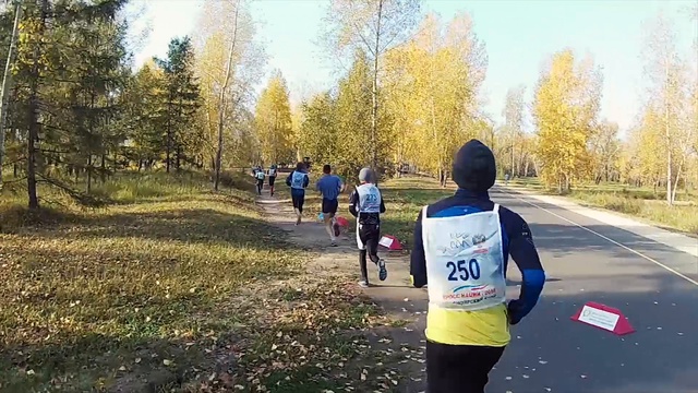 Кросс нации-2016 смотреть онлайн