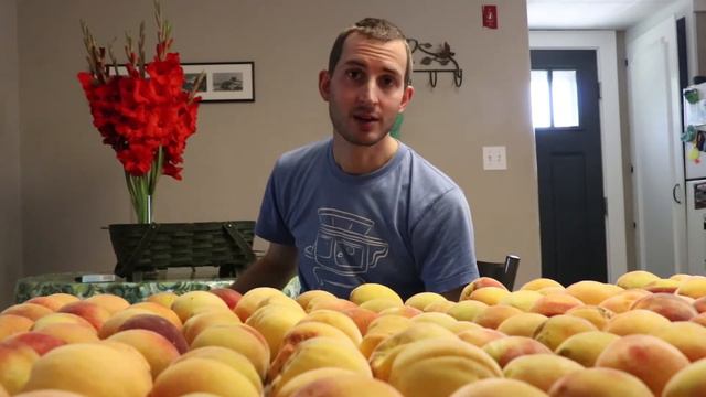 A Plethora Of Peaches
