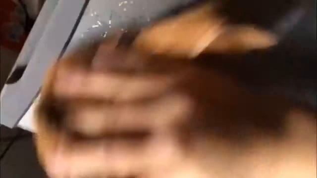 Аналог Piere D`Argent с AliExpress | Товары из Китая