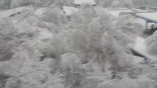 АЛМАТЫ СОВСЕМ НЕ ЮГ КЗ смотреть онлайн