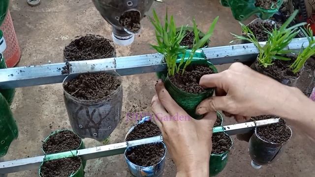 Great idea to grow hanging vegetables with recycled plastic bottles смотреть онлайн