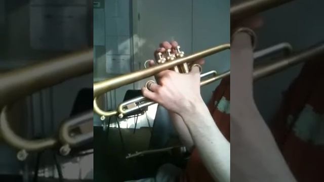 How fiesta siesta sounds смотреть онлайн