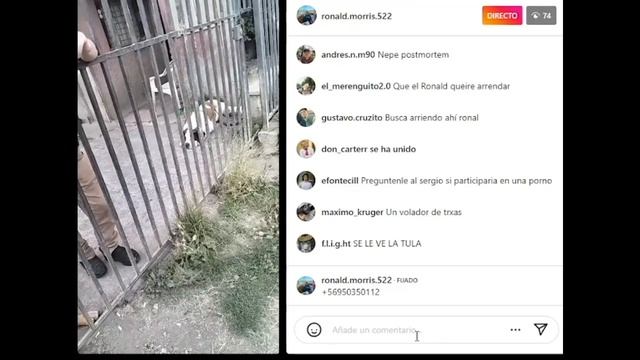 Ronald Morris le va a dar cara al WNPORFIAO смотреть онлайн