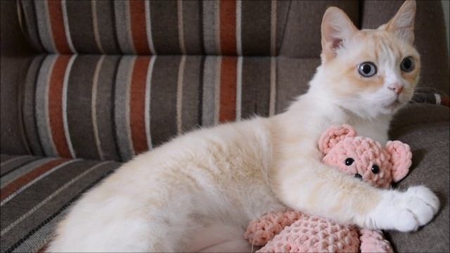 Какое удивление...