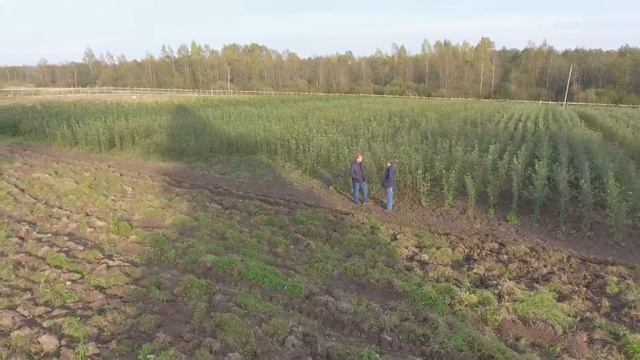 Питомник Плодовый дом Игоря смотреть онлайн