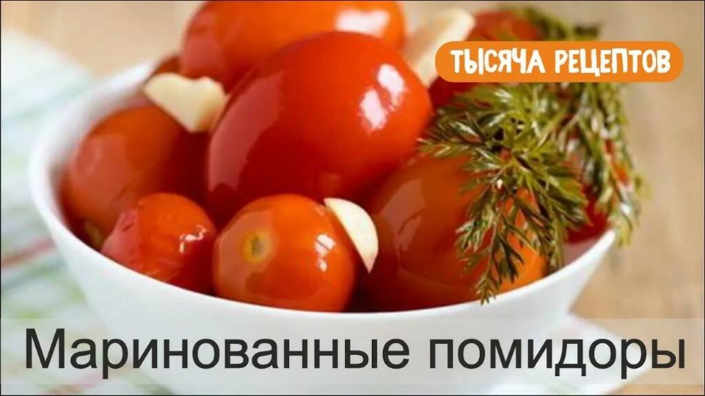 ТЫСЯЧА РЕЦЕПТОВ
