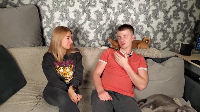 BASENJI! БАСЕНДЖИ! Все о породе. смотреть онлайн