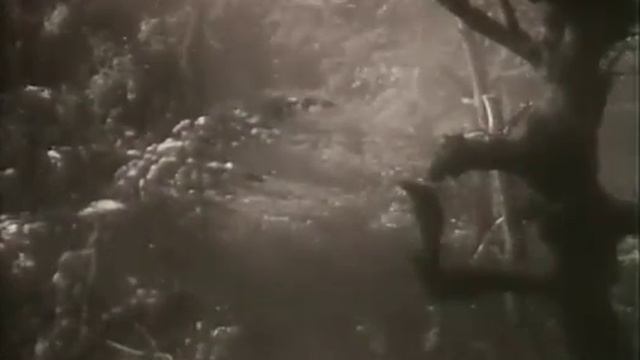 Всадники, 1939 смотреть онлайн