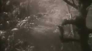 Всадники, 1939