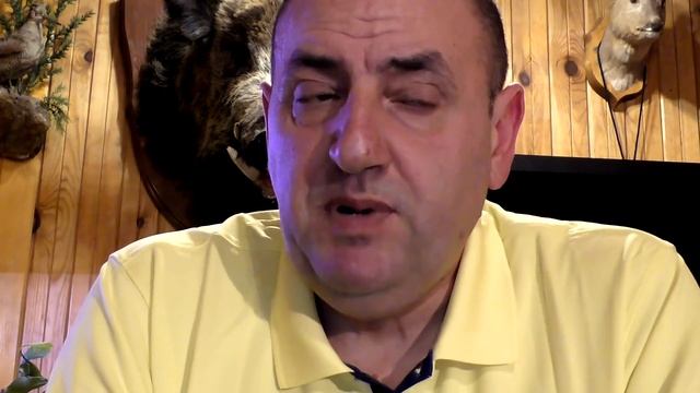 Как выбрать щенка легавой? Легавая от А до Я смотреть онлайн