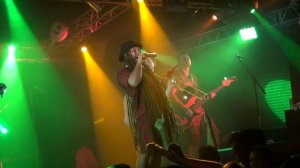 DISTEMPER - Про собачек