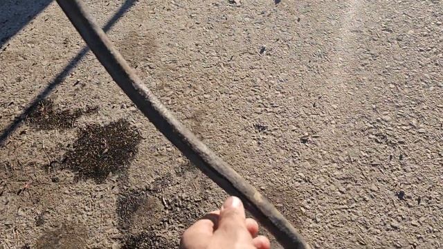 Иду дальше в лес, а партизаны все толще и толще. смотреть онлайн