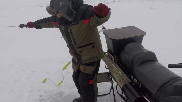 ЗИМНЯЯ РЫБАЛКА/ TALVINE KALASTUS. Чудское озеро/ Peipsi Järv.