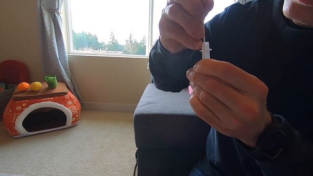 【使い方】無料検査キット使ってみた How to use Antigen Rapid Test (#168) смотреть онлайн