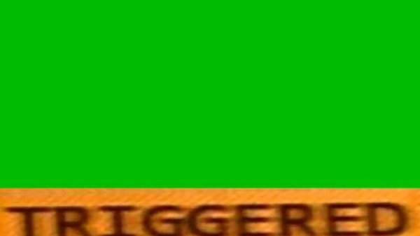 TRIGGERED Green Screen Meme