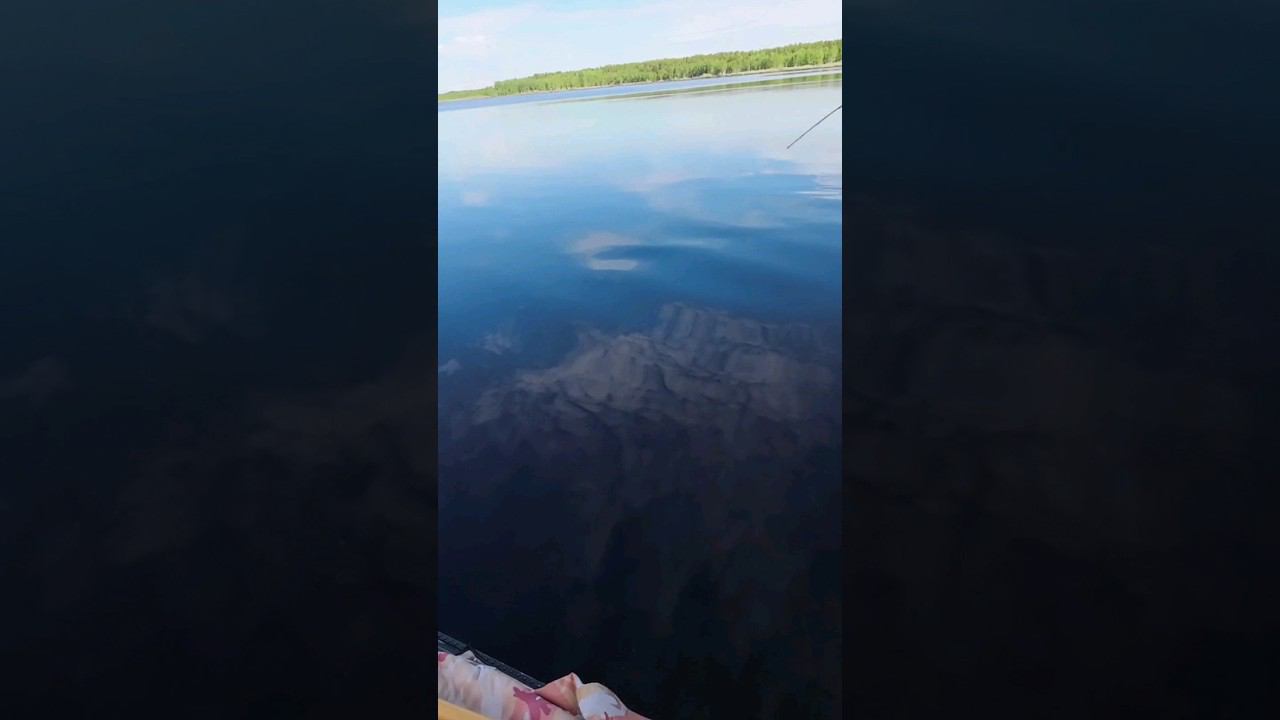 Щука 6.3 кг на вертушку номер 3 #рыбалка #щука #спининг #fishing #pike #pikefishing смотреть онлайн
