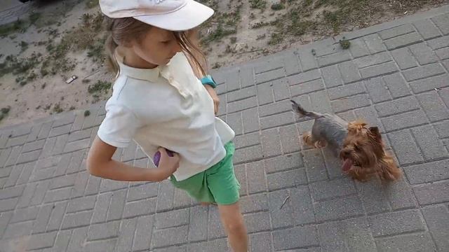 Собака ходит за мной по питам смотреть онлайн