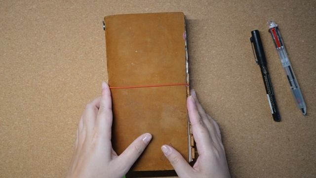 Finding Planner Peace ♡ My Journey with Travelers Notebook Journal | Janethecrazy смотреть онлайн