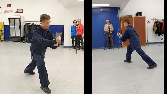 Traditional Yang Style 85-form Tai Chi By Mater Wen In 2019