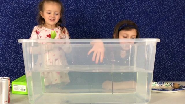 Groovy Girls Sink or Float Video - The Last Item Was Surprising! GroovyGirlsTV смотреть онлайн