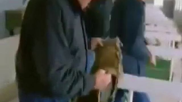 aleut story 6 смотреть онлайн